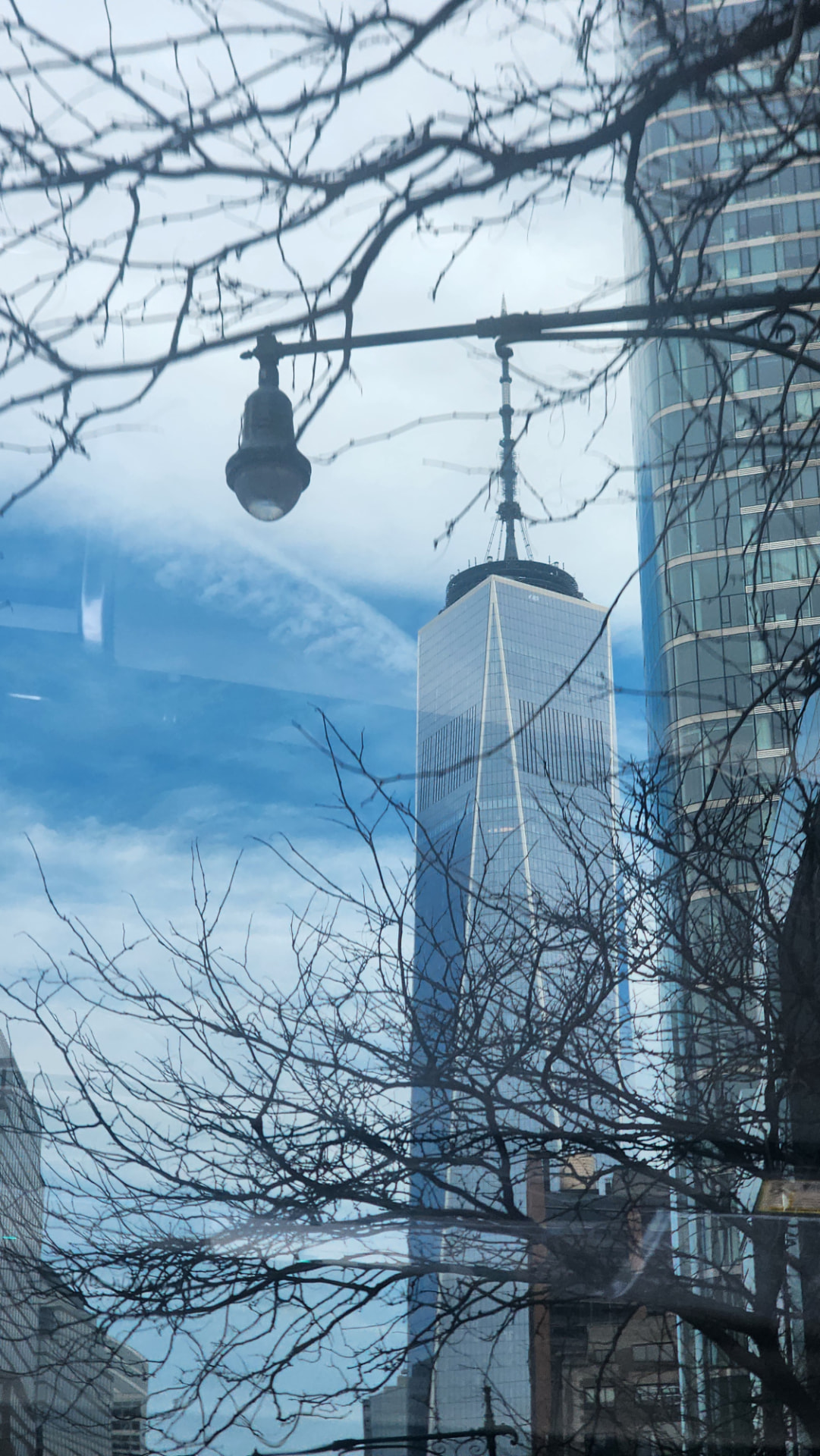 One World Trade Center framed by bare winter branches in New York City