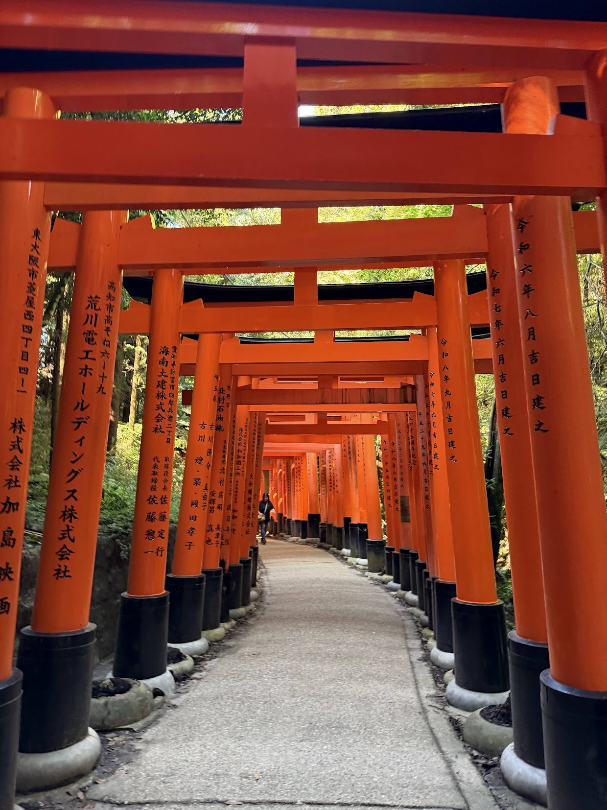 Red torii gates in Kyoto