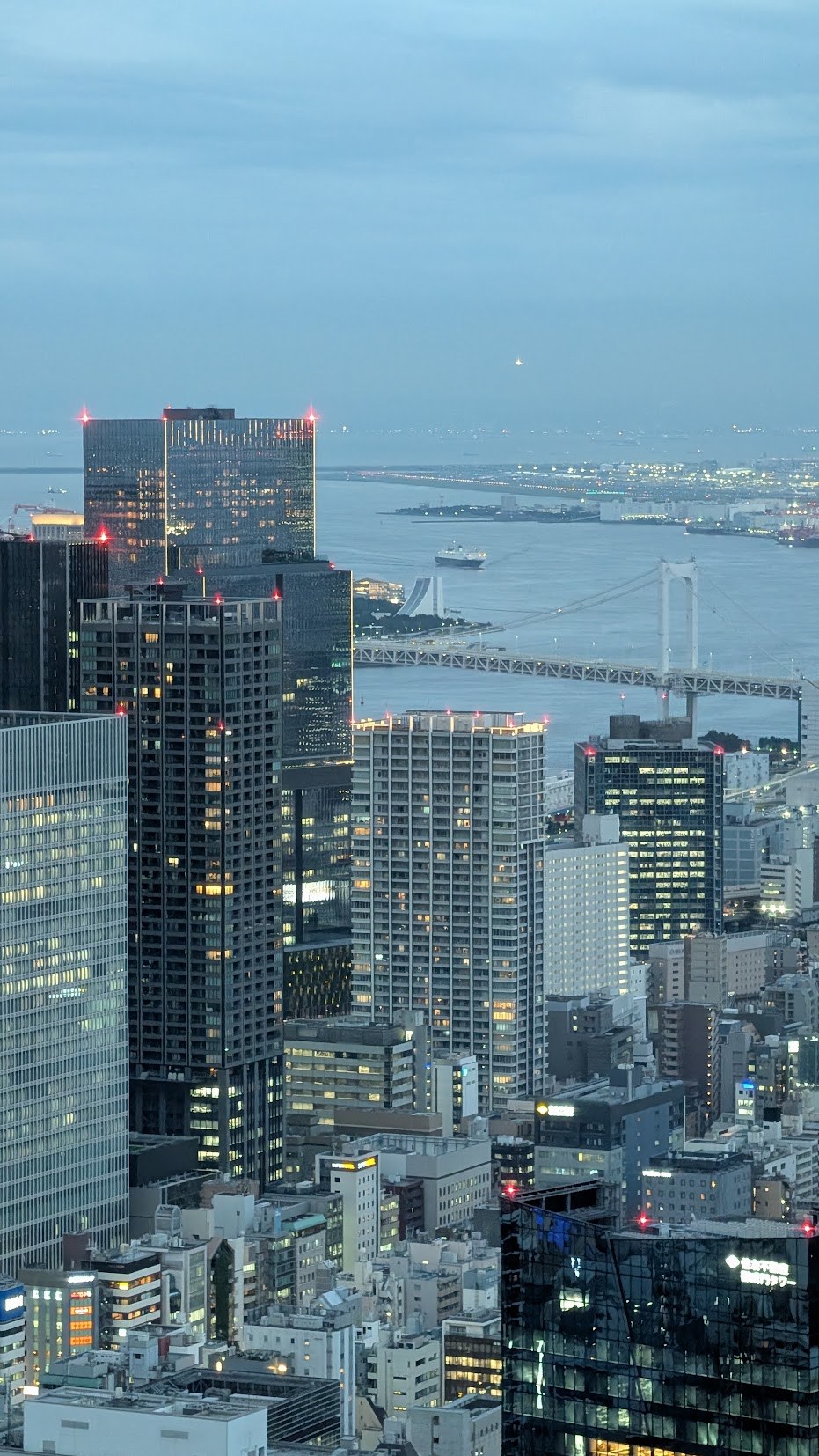 Tokyo skyline and harbour at dusk