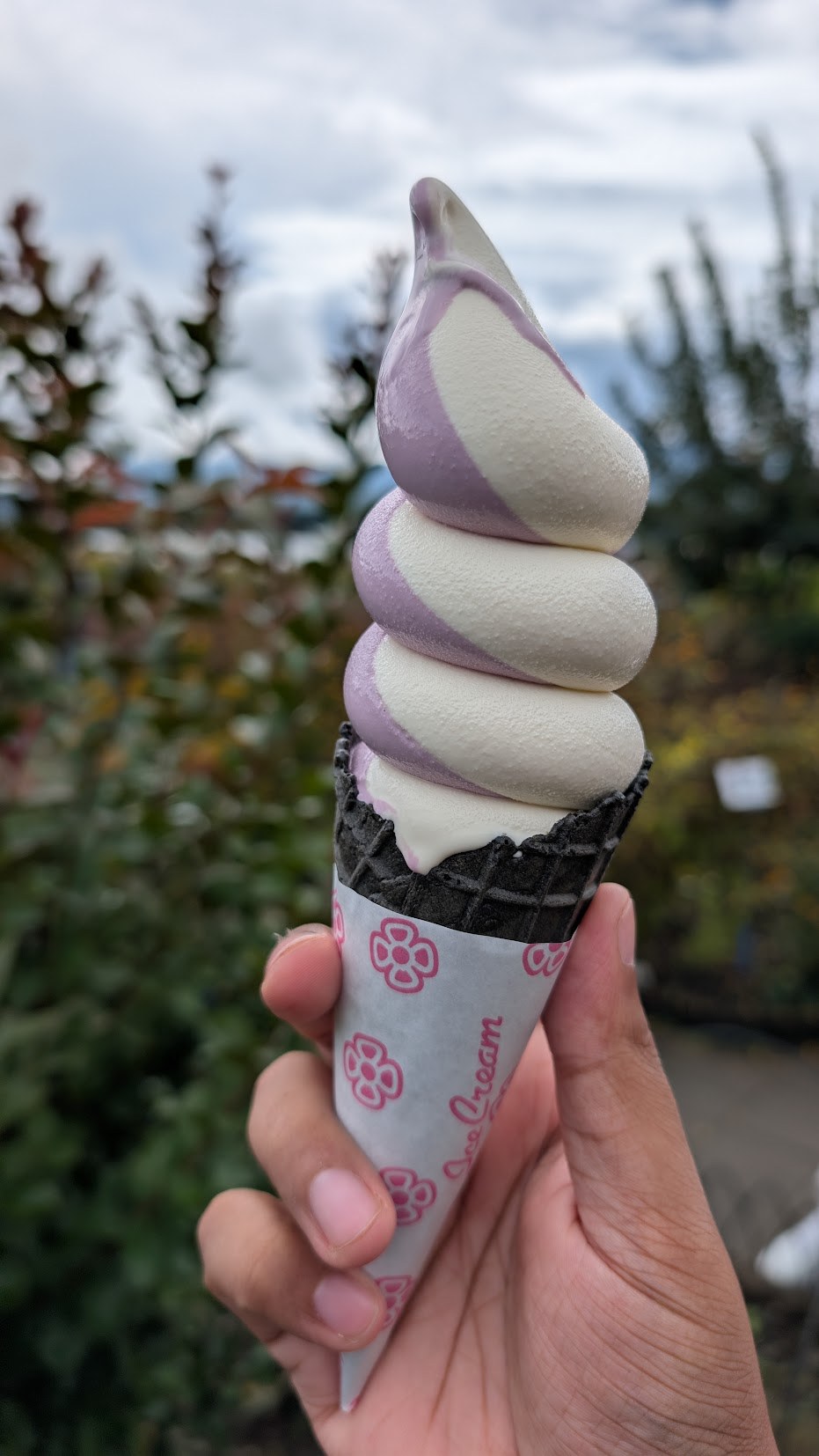 Hokkaido soft-serve ice cream